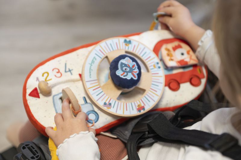 Panel de Actividades Coche - LILLIPUTIENS