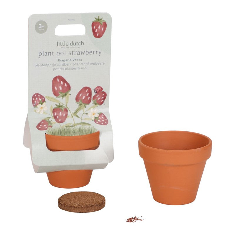 Maceta Planta Fresas - LITTLE DUTCH