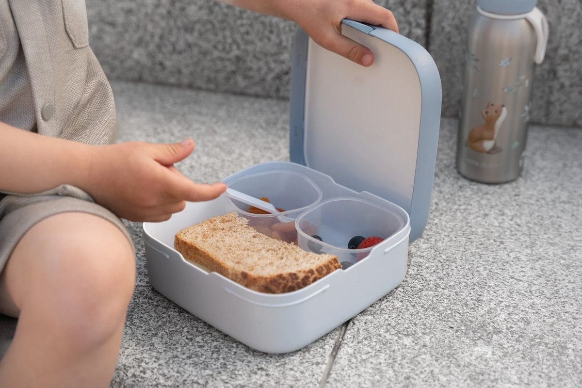 Caja de Almuerzo Bento Lunch Box Forest Friends Grande - MEPAL