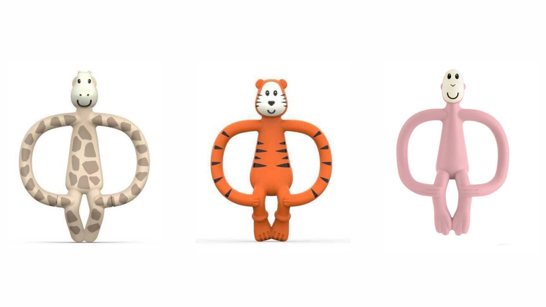 Beneficios Fisiologicos de los Mordedores Matchstick Monkey y su Impacto en el Frenillo