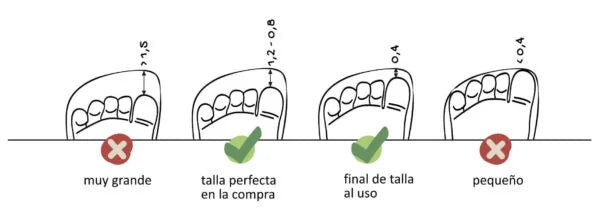 Cómo Elegir la Talla Correcta en Calzado Respetuoso