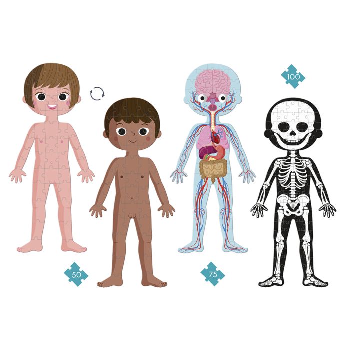 Puzzle Educativo Cuerpo Humano - JANOD