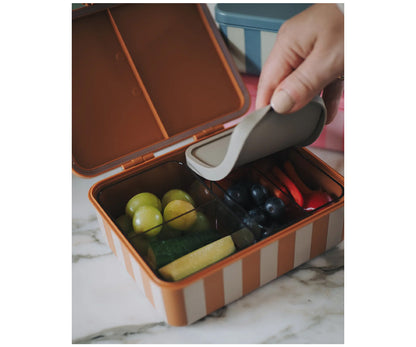 Caja de Almuerzo Verde con 3 Bandejas Extraibles - NOUI NOUI