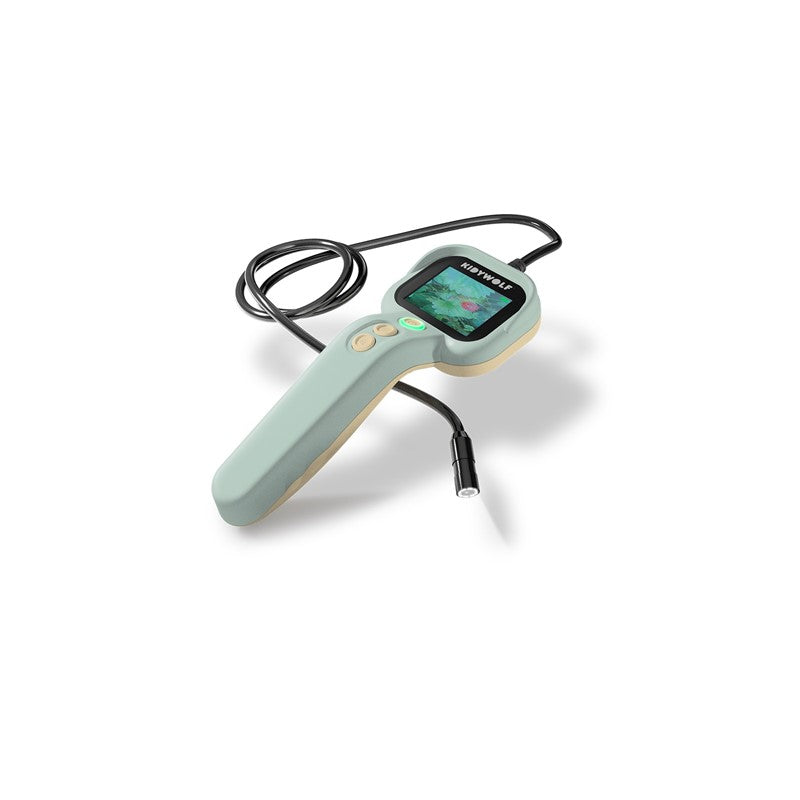 KidyExplorer Verde - KIDYWOLF