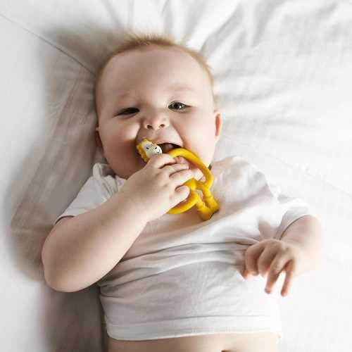 Mordedor Monkey Lion  - MATCHSTICK MONKEY