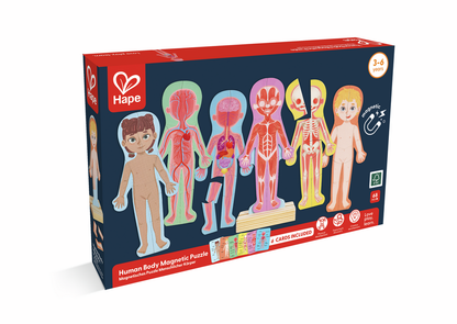 Puzle Magnético del Cuerpo Humano - HAPE