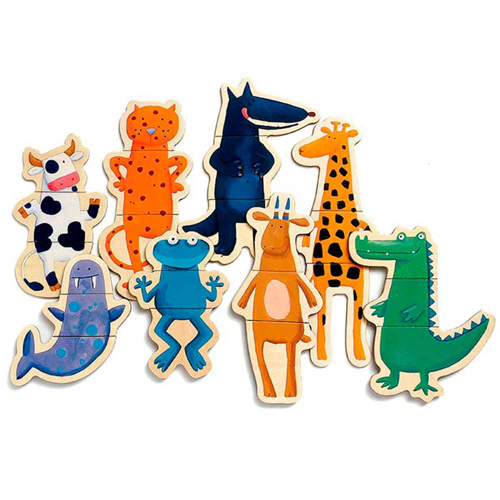 Magnetic's crazy - DJECO