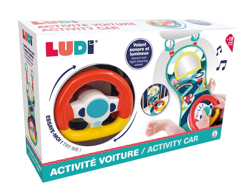 Volante Actividades - LUDI