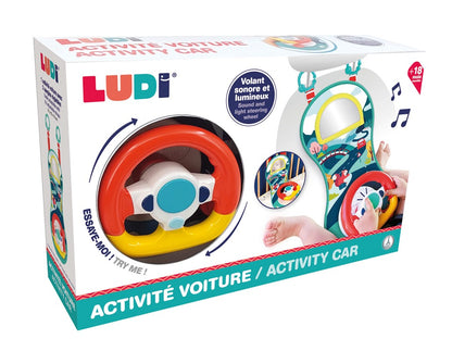 Volante Actividades - LUDI