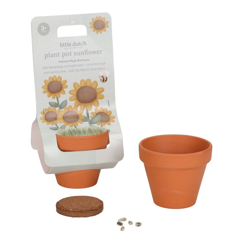 Maceta Planta Un girasol - LITTLE DUTCH