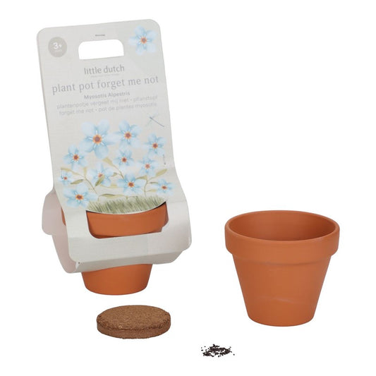 Maceta Planta No Me Olvides  - LITTLE DUTCH