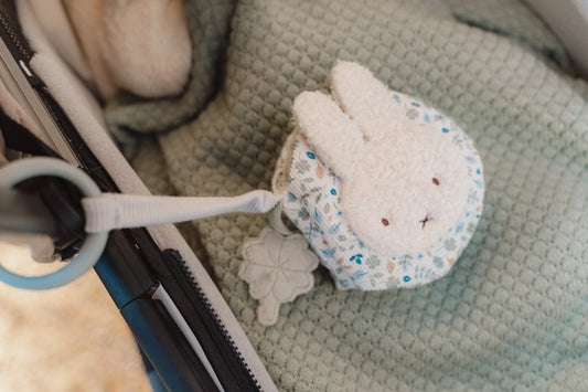 Librito blando actividades anilla Leaves - LITTLE DUTCH