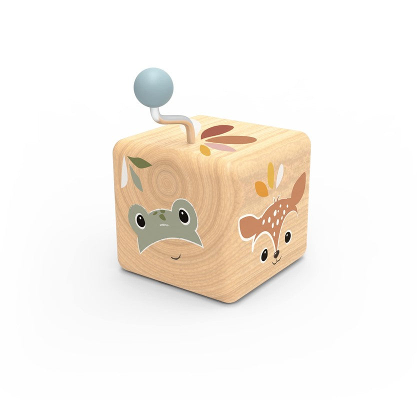 Cajitas de Música Bosque - SPEEDY MONKEY